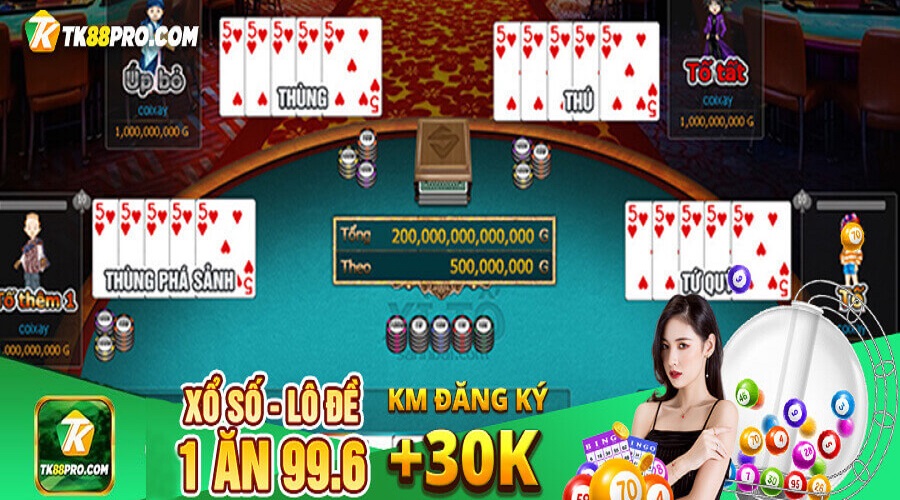 xì tố